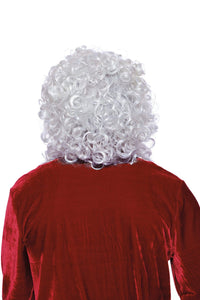 Dreamgirl Santa Wig & Beard Costume Accessory Dreamgirl 